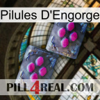 Engorge Pills 01